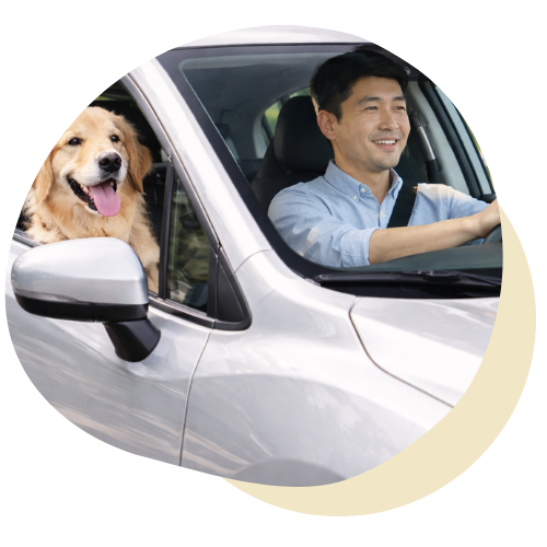 見出しを追加 (57)