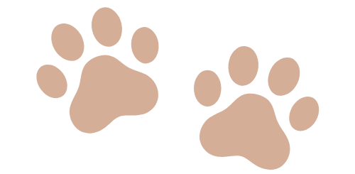 見出しを追加 (1)