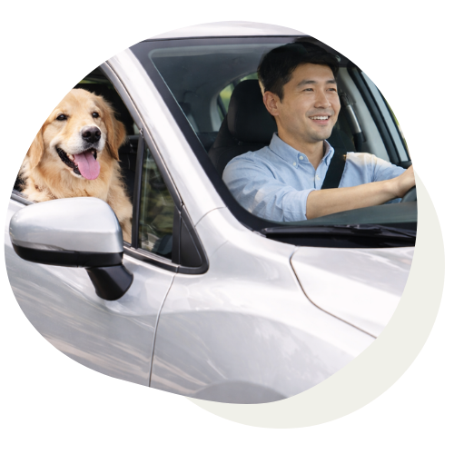 見出しを追加 (8)